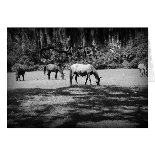 Cartão Cumberland em preto (Frente Horizontal)