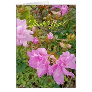 Cartão Cumprimento com flores de lavanda em azálea. Obrig