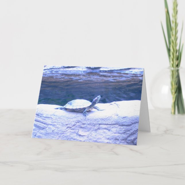 Cartão Cumprimentos amigáveis 1 (Frente)