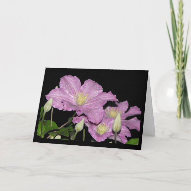 Cartão Cumprimentos felizes - 34 - (Frente)