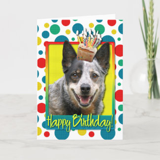 Cartão Cupcake de aniversário - Cão de Bovinos Australian