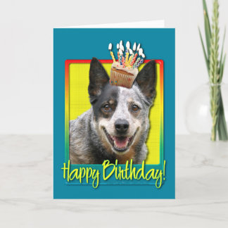 Cartão Cupcake de aniversário - Cão de Bovinos Australian