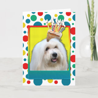 Cartão Cupcake de aniversário - Coton de Tulear