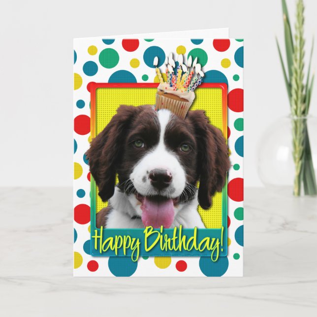 Cartão Cupcake de aniversário - Inglês Springer Spaniel - (Frente)