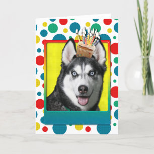 Cartão Cupcake de aniversário - Siberian Husky