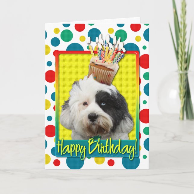 Cartão Cupcake de aniversário - Tibetano Terrier (Frente)
