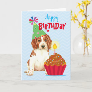 Cartão Cupcake de aniversário Welsh Springer Spaniel