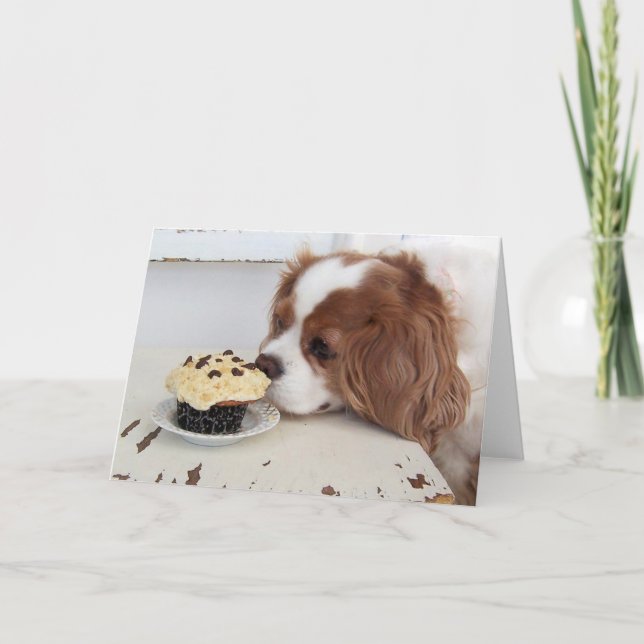 Cartão Cupcake de sexta-feira Cavalier King Charles Spani (Frente)