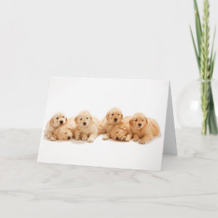 Cartão Cuppies de Ouro