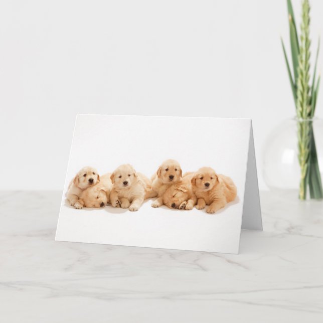 Cartão Cuppies de Ouro (Frente)