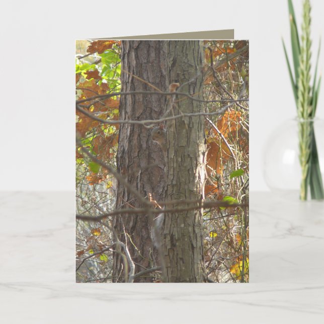 Cartão Curiosity (Frente)