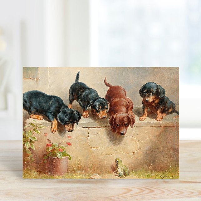 Cartão Curioso Dachshund Puppies | Carl Reichert (Criador carregado)