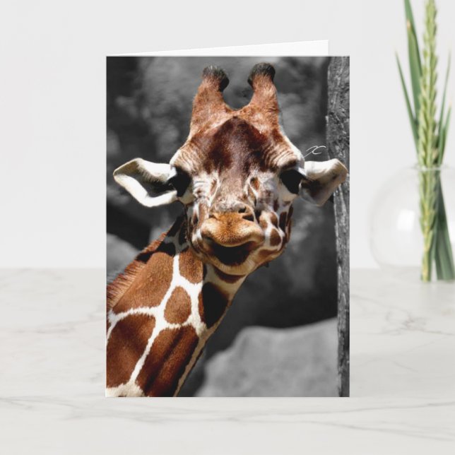 Cartão Curious Giraffe Greeting Card (Frente)