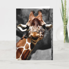 Cartão Curious Giraffe Greeting Card