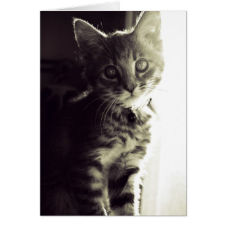 Cartão Curiouser, Curiouser em Preto e Branco