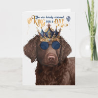 Curly Coated Retriever King para o Dia de Aniversá
