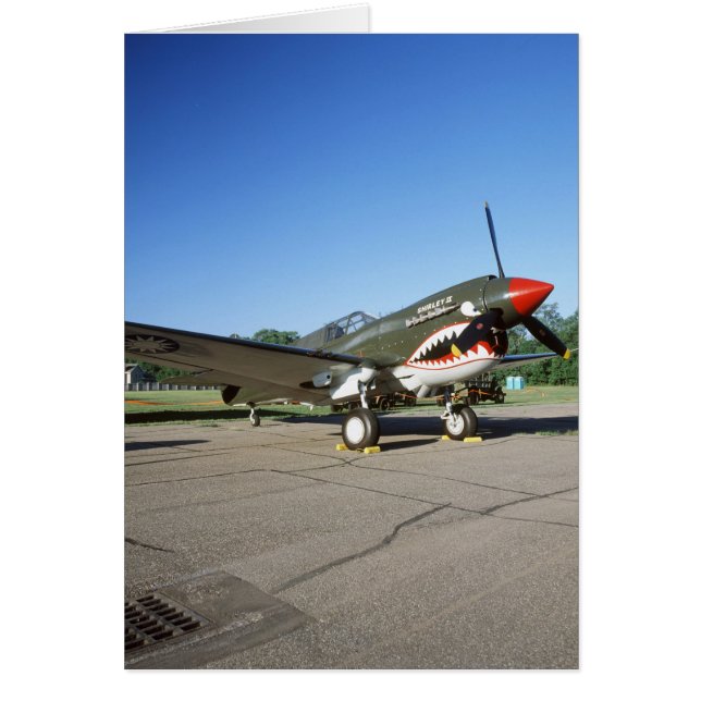 Cartão Curtiss P-40 Warhawk, no Minnesota CAF Air Show (Frente)