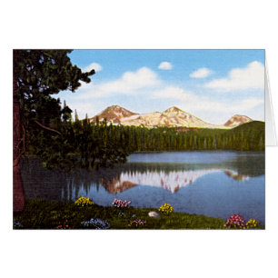 Cartão Curvatura Oregon