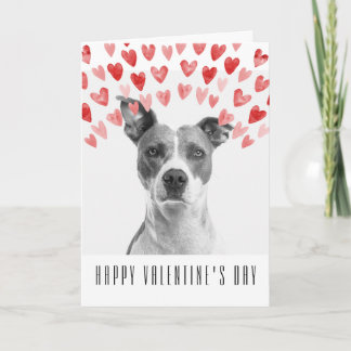 Cartão Custom Happy Valentine's Day from the Dog