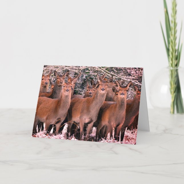 CARTÃO CUSTOM MERRY CHRISTMAS CARD WITH DEER IN SNOW (Frente)