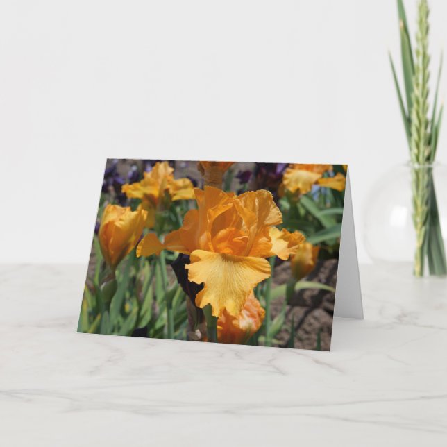 Cartão Custom Personalized Greeting Cards Orange Irises (Frente)