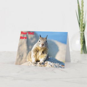 Cartão Customisable grey squirrel
