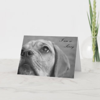 Cartão Customisable Im Sorry Cute Puppy Greeting card
