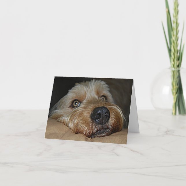 Cartão Customizable All-Occasion Greeting Card (Frente)