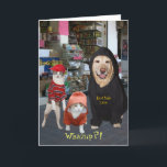 Cartão Customizable Funny Pets/Cats/Dog Whazup Birthday<br><div class="desc">Customizable funny pet birthday card with the street lingo theme. Moses & Bubba are in hoodies and Mikie looks like a little rascal. Moses and Bubba really wore the hoodies, and were happy to do so. You can move the images, change the text, change the fonts, font sizes and font...</div>