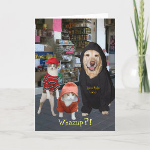 Cartão Customizable Funny Pets/Cats/Dog Whazup Birthday