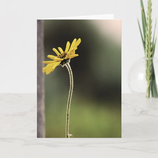 Cartão Customizable Lone Flower Greeting Card (Frente)
