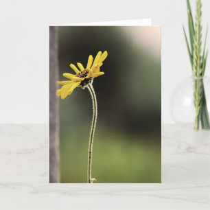 Cartão Customizable Lone Flower Greeting Card