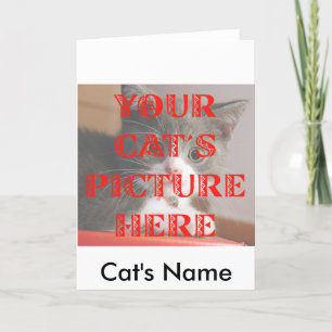 Cartão Customized Your Cat's Photo