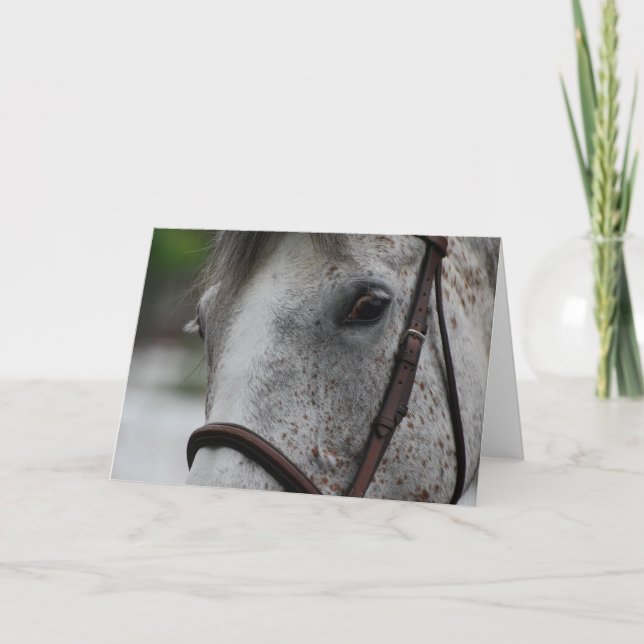 Cartão Cute Appaloosa Horse Greeting Card (Frente)