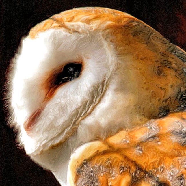 CARTÃO CUTE BARN OWL (Criador carregado)