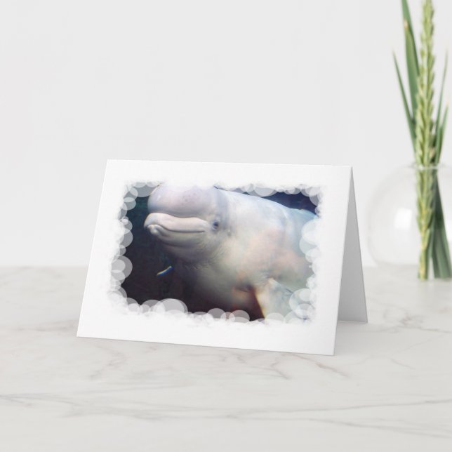 Cartão Cute Beluga Whale Greeting Card (Frente)