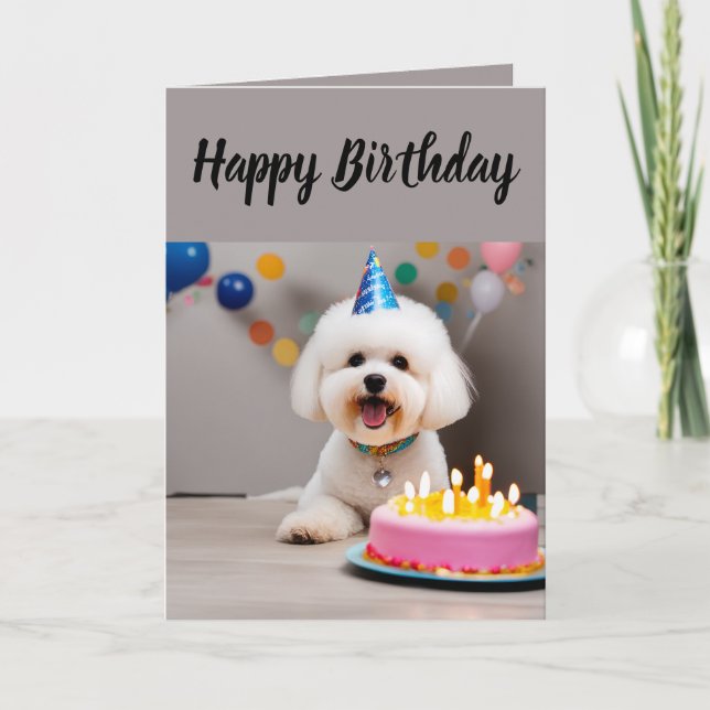 Cartão Cute Bichon Frisé Birthday (Frente)