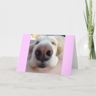 Cartão Cute Birthday Card