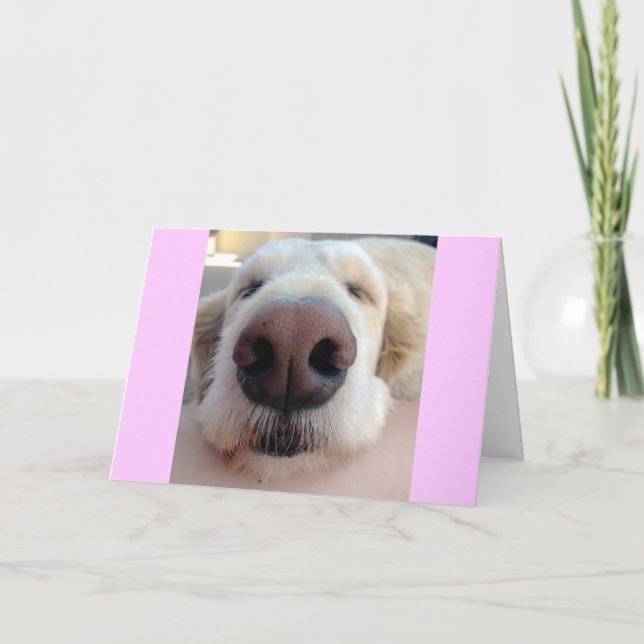 Cartão Cute Birthday Card (Frente)