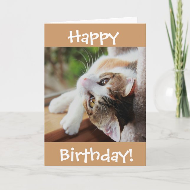 Cartão Cute Calico Cat Birthday Card, purr-fect day! (Frente)