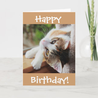 Cartão Cute Calico Cat Birthday Card, purr-fect day!