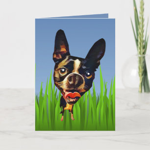 Cartão Cute Cartoon Boston Terrier Greeting Card