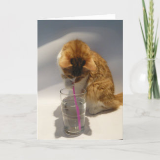 Cartão Cute Cat Drinking from Straw Happy Birthday