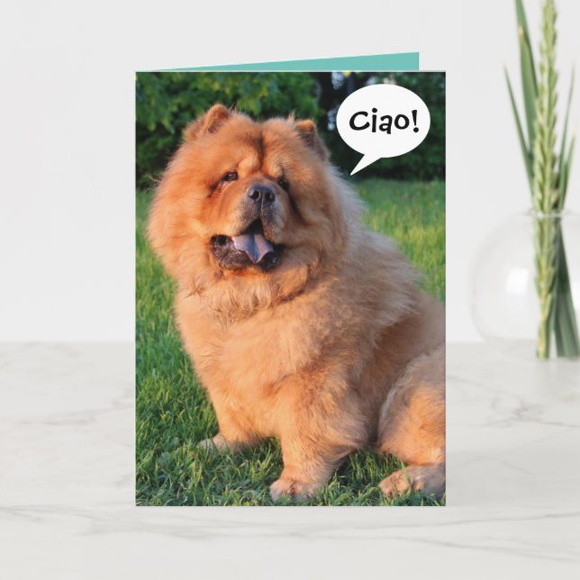 Cartão Cute Chow Chow Saying "Ciao!" Greeting Card (Frente)