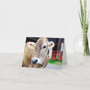 Cartão Cute cow notecard