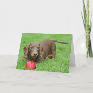 Cartão Cute dachshund blank greeting card