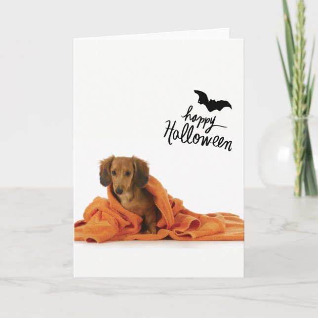 Cartão Cute Dachshund puppy in orange blanket Halloween (Frente)