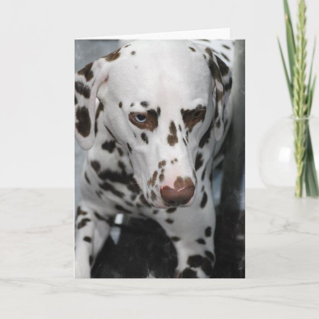 Cartão Cute Dalmatian  Greeting Cards (Frente)