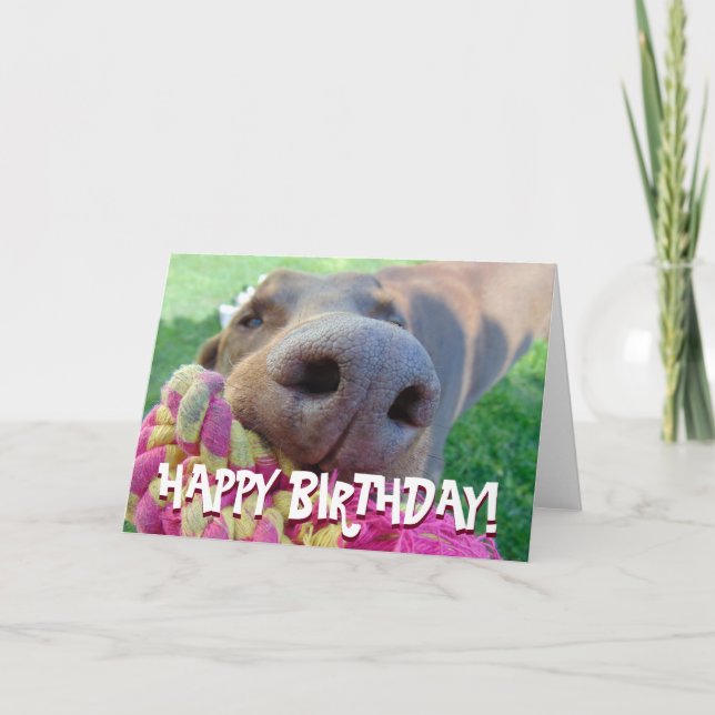 Cartão Cute doberman birthday card (Frente)