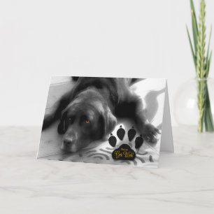 Cartão Cute Dog Get Well for the Pet Lover with Labrador